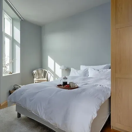 Lys & Luksurios Leilighet Midt I Sentrum! Lejlighed