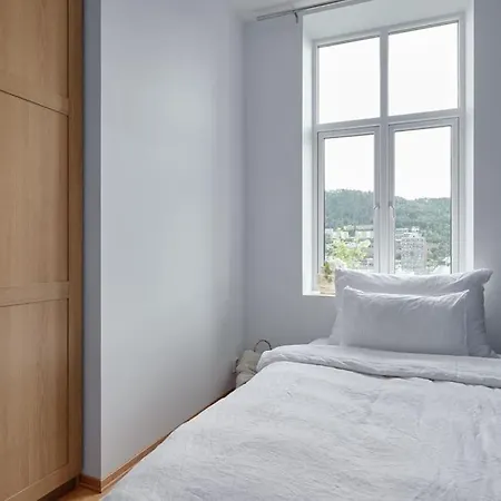 Lys & Luksurios Leilighet Midt I Sentrum! ברגן